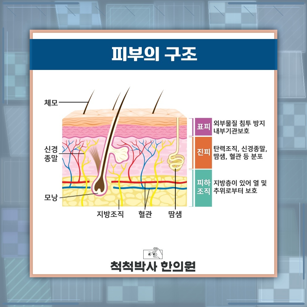 반복되는 두드러기와 가려움, 원인부터 살펴보기