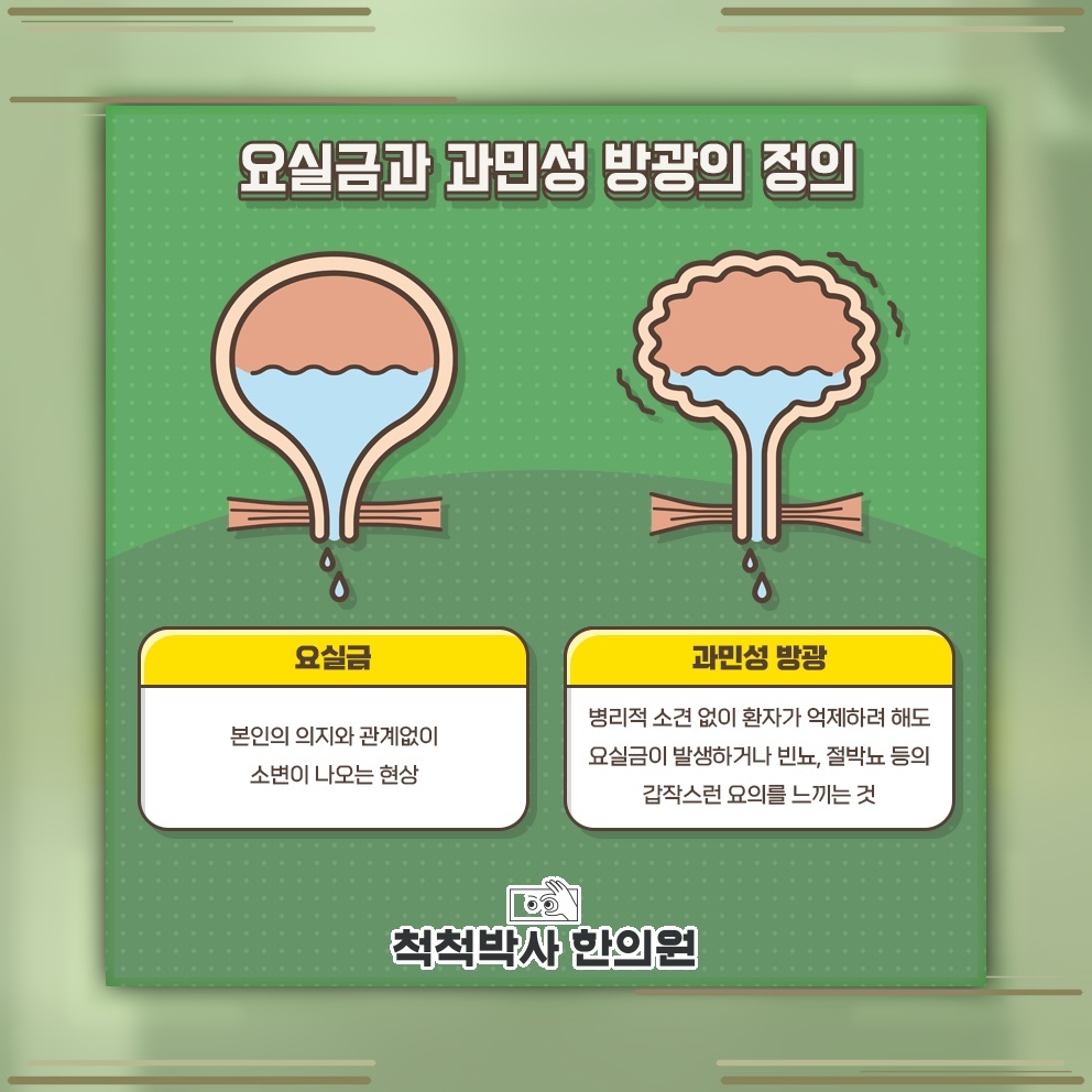 일상 속 불편을 줄이는 요실금 관리의 방향