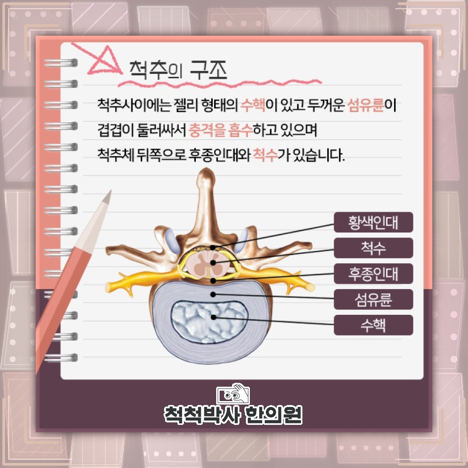 허리디스크에서 재채기할 때 통증이 심해지는 이유