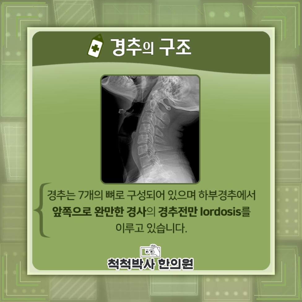고개를 숙이는 습관이 거북목증후군으로 이어지는 과정